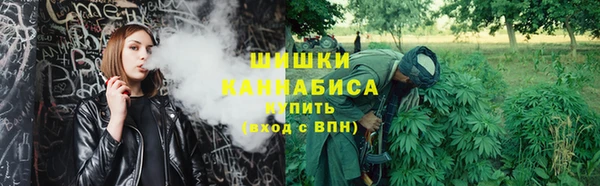 PSILOCYBIN Армянск