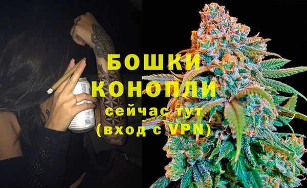 ГАЛЛЮЦИНОГЕННЫЕ ГРИБЫ Арсеньев