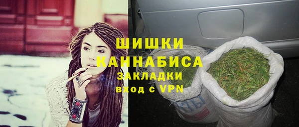 ГАЛЛЮЦИНОГЕННЫЕ ГРИБЫ Арсеньев
