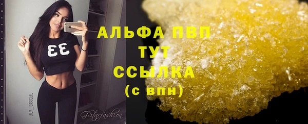 PSILOCYBIN Армянск