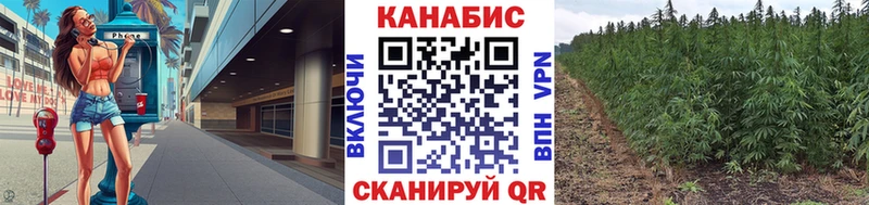 МАРИХУАНА гибрид  Кологрив 